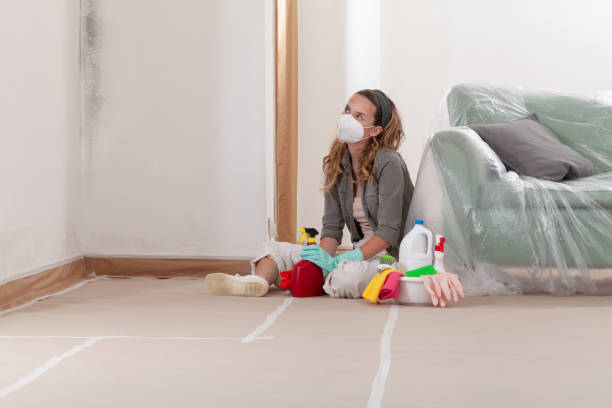 Reliable Basement Mold Remediation contractor in Ahoskie, NC by WQB Mold Removal